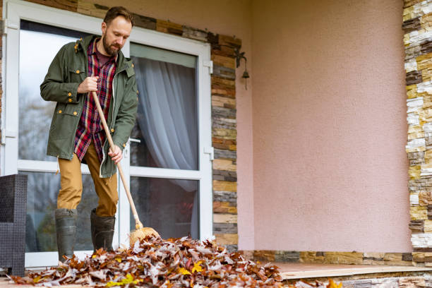 Best Same-Day Junk Removal  in Farmington, MO